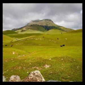 Sutter Buttes Yuba City, CA